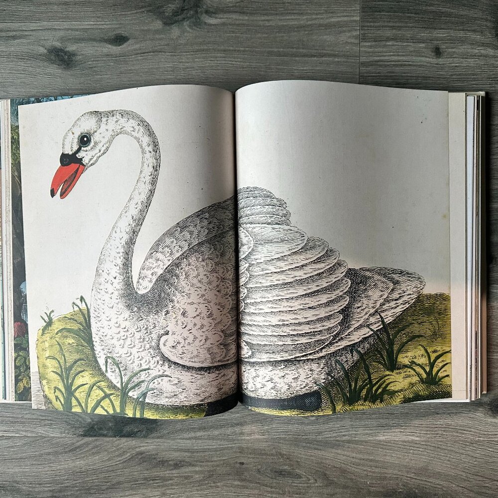 Eye Illustration Coffee Table Book - Beige and Brown Cover - Picture 6 of 7